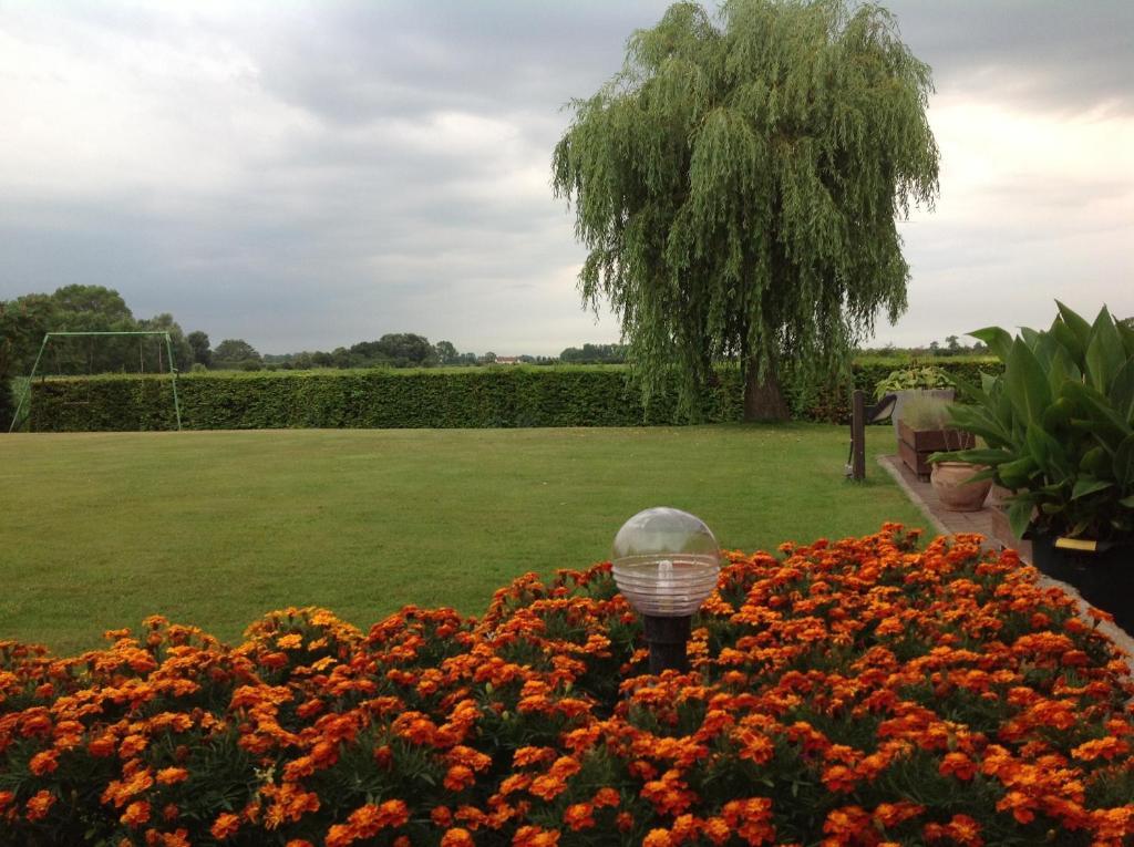 Decoster Bed & Breakfast 3*